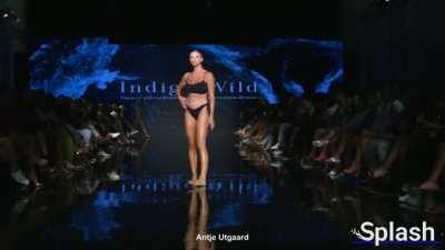 Antje Utgaard Indigo Wild Miami 2021-2022