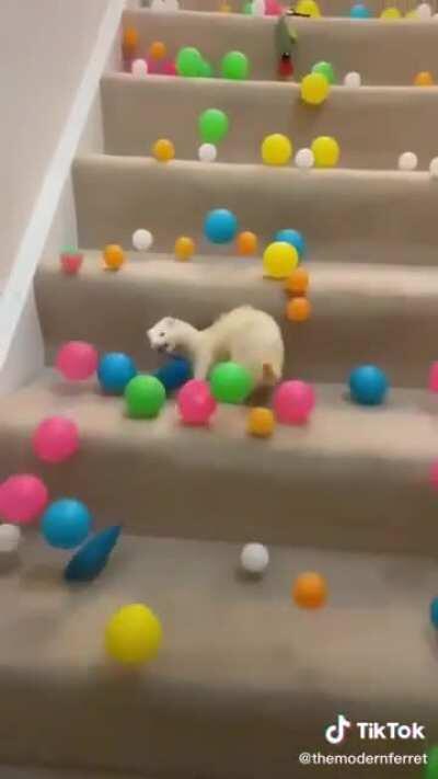 aRCtiC ChUpaCABRa fUCkiNg buRiED iN AVaLanCHe