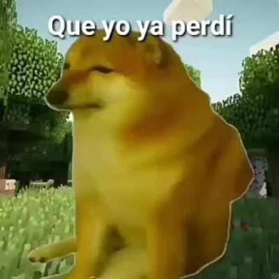 Momento cariño pana