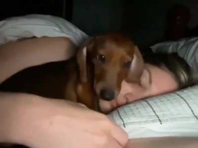 He’s absolutely adorable.