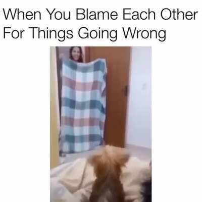 To be the object of your dogs attention