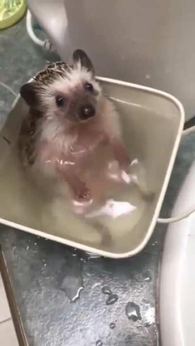 Just a lovely day in a garden pot .