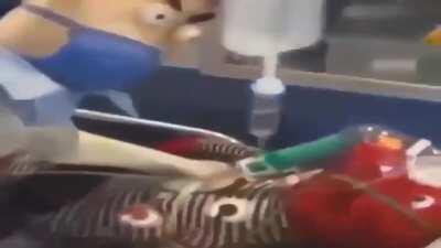 Si la canción tiene copyright cagé