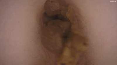 Buried 3 (Poopkitten) (Credit: u/AstralThrall)