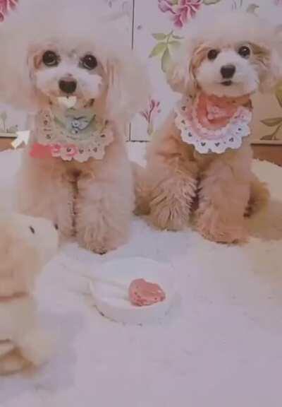 No, thanks, I am out!