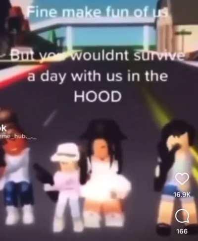 You wouldn’t survive one day with them in the HOOD