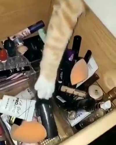 Touch Tha Makeup