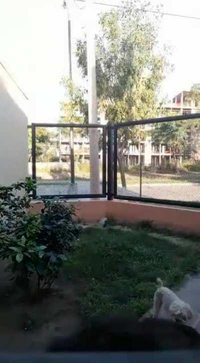 Making a video for YouTube