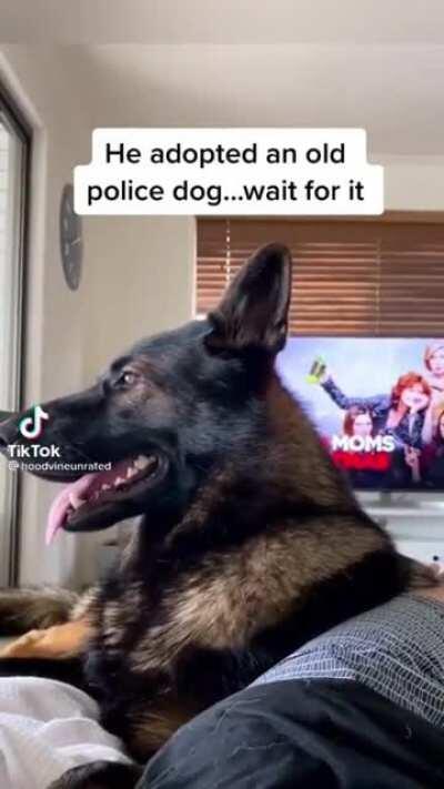 He was genuinely perplexed