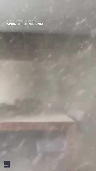 Did you get it on video?