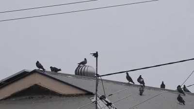 New 360-degree surveillance technology