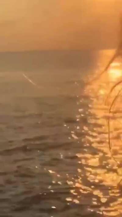 Schöner... Sonnenuntergang