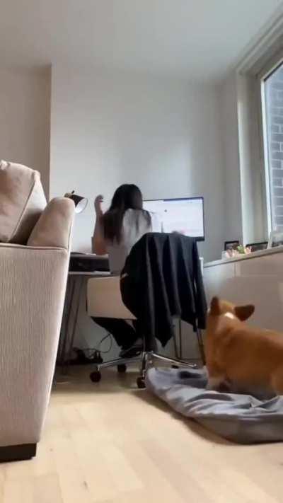 Work from home they said..