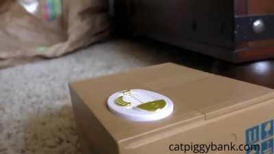 Cat dies as it sees a coin stealing cat toy.