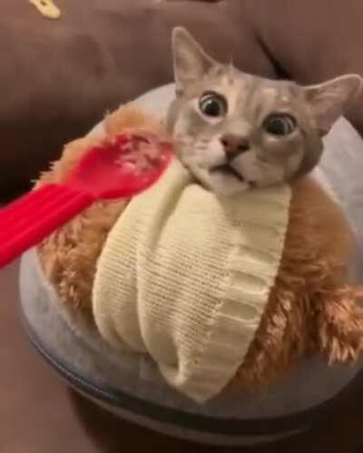 Чёрная магия для призыва элементаля