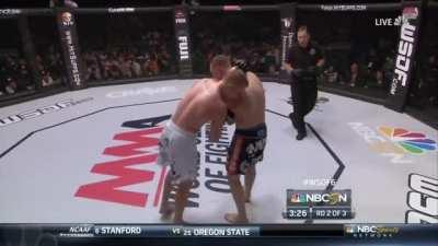 Brutal low kicks of Justin Gaethje