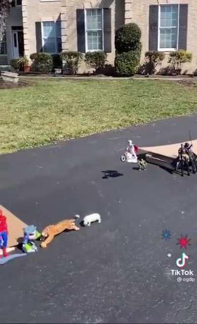 When you had the perfect run