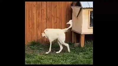 industrial revolution has made mankind to finally make it's maker.