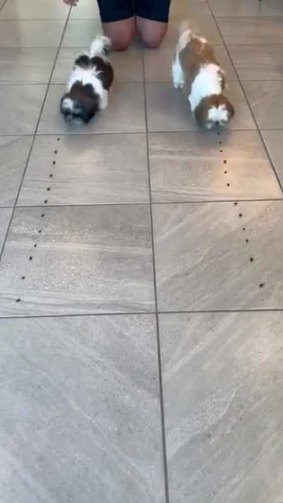 What do you call this as faster or hunger?