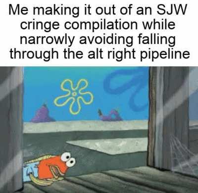 Yeah those SJWs were pretty cringy but I'm pretty sure the Holocaust happened