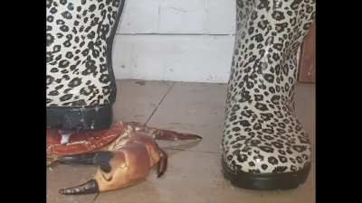 Luckily she put on the right boots.