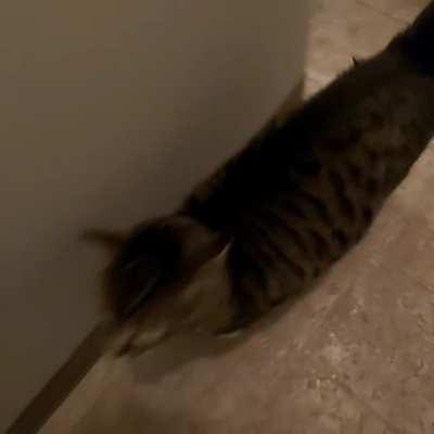 Hemingway getting impatient