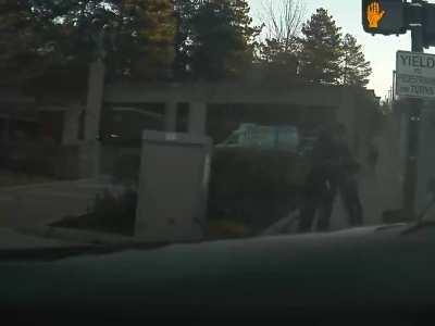 Driver forgets to look before turning, Tesla totalled