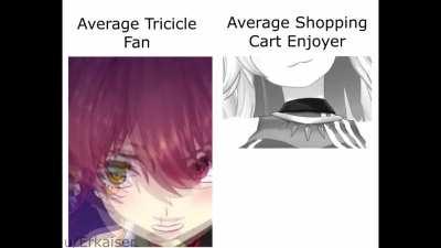 The average Hololive enjoyer