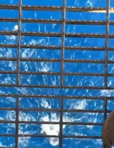 Can you imagine falling in?