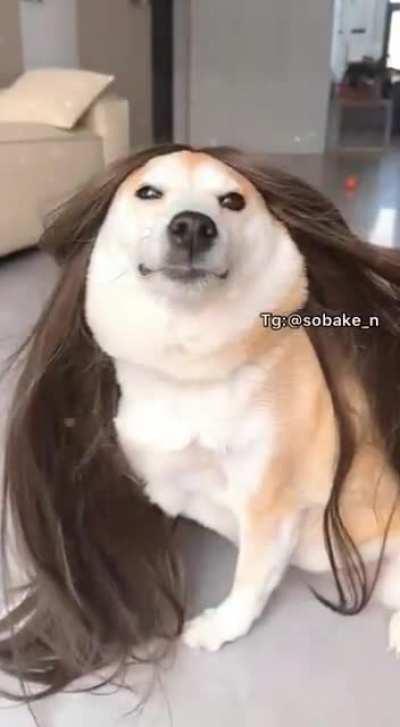 Shine bright like a diamond