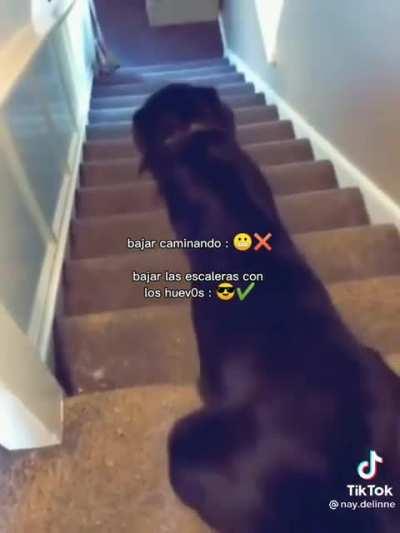 👉🏿🥚🥚👈🏿