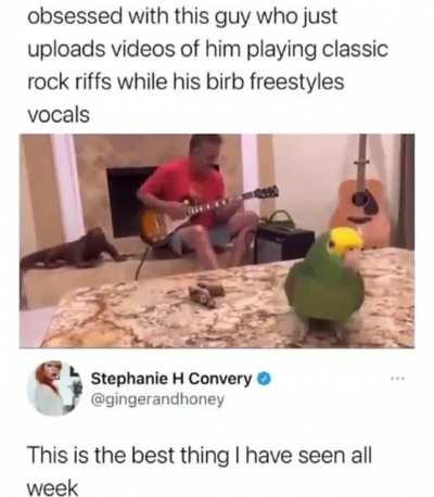 The latest version becomes friendly by responding to music while on spies on you