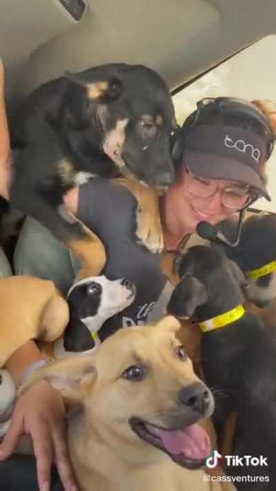 This group of women rescued 27 dogs from an overcrowded shelter in Alabama and flew them to Orlando, where families were waiting to adopt them.