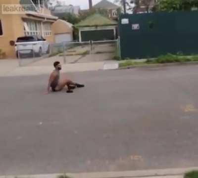 How are we not extinct yet