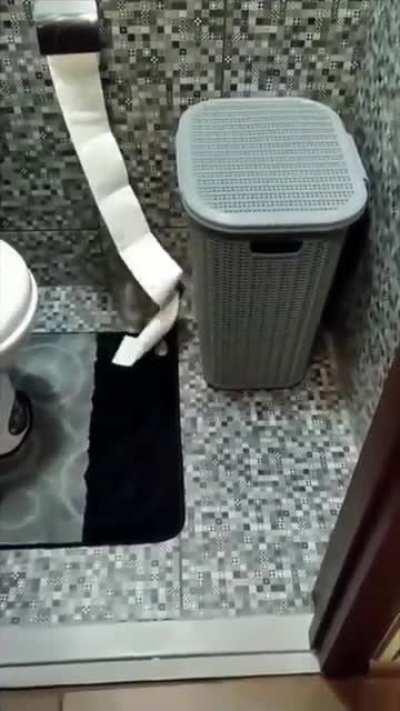 Found the culprit who tp'ed the house