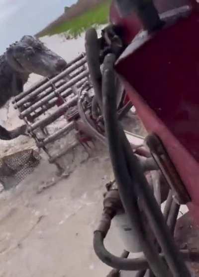 Farming in Louisiana is tough.