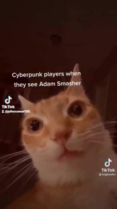 Hate for him, nothing but pure burning hate