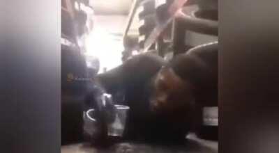 denme up o se les muere la mamita