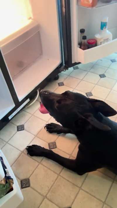 Cooling off after running wild!