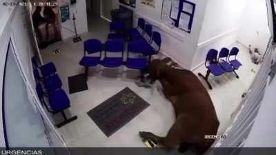 Doctor Beau Fine is here to see you now