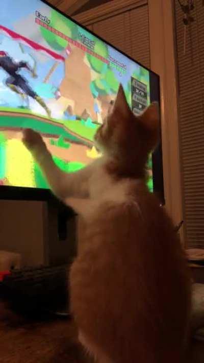 I think he’s a Falcon main