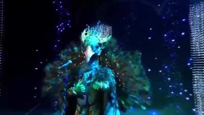 How would you rate this Dutch Performance?