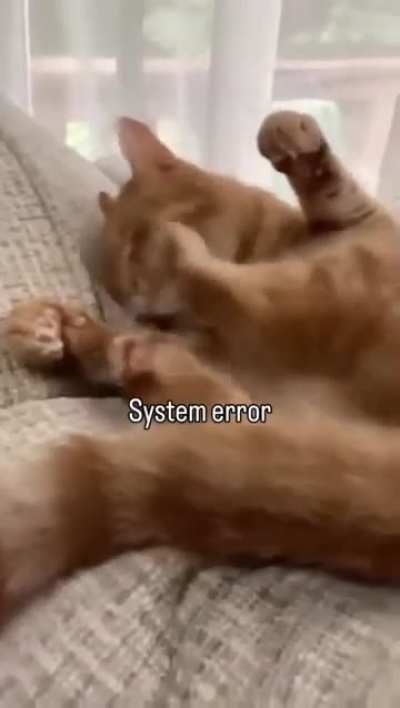 Wrong installed brain cell 😅