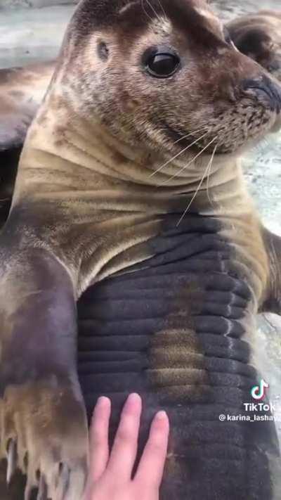 WHO THE HELL?....Oh hi.😄