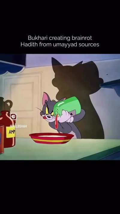 another average day of bukhari and his baqwaas (🎥: janab @bulbshah on ig)