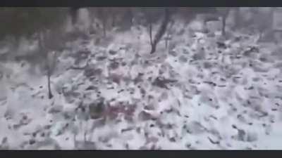 Snow Squall NEPA I-81