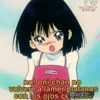 Pero que hiciste perico