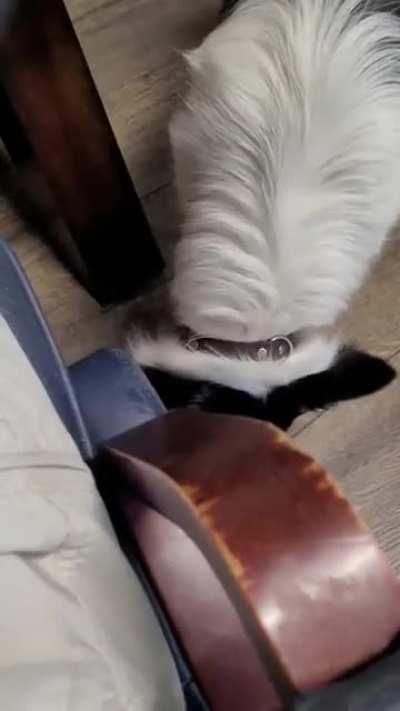 Brought my boy to the office. I don't really know what I expected....