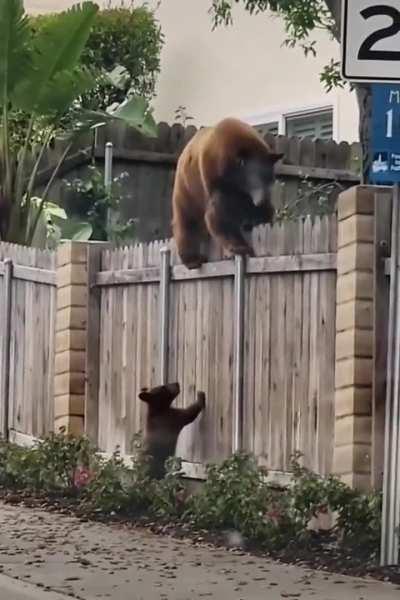 No one is left behind