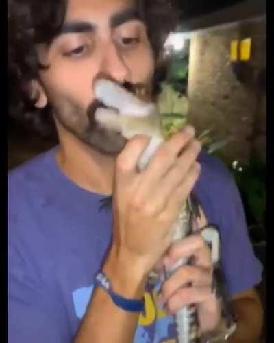 What type of puppy is this?